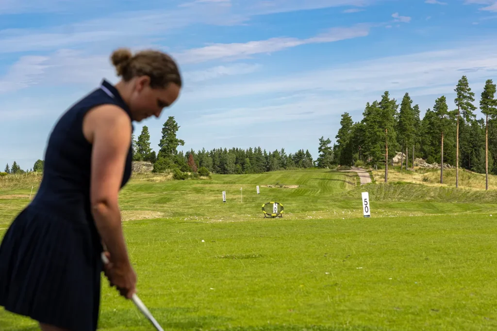 Driving Range Target
